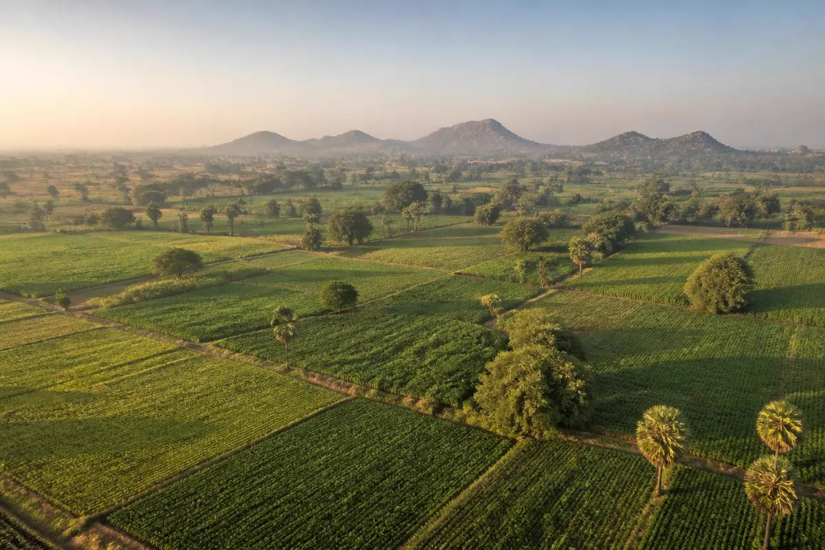 Agricultural land